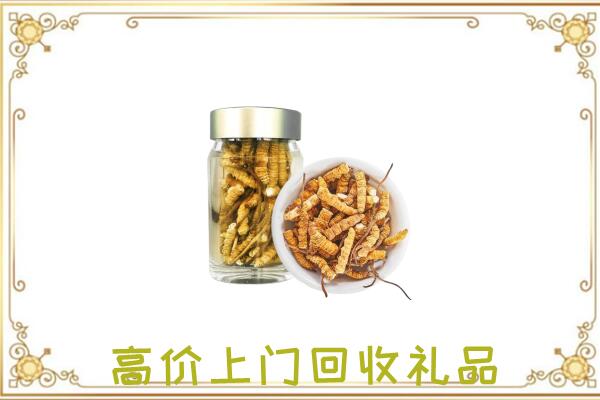 海拉尔周边回收虫草